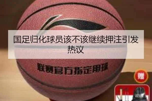 img_1781007022551_156_1_930.jpg