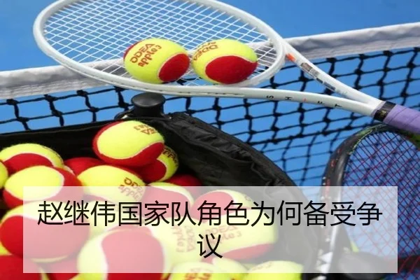 赵继伟国家队角色为何备受争议